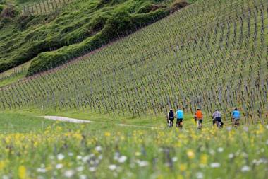 Ferienhof Laurentius