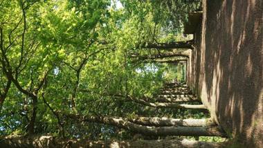 De Leev - Landhaus Lübbertsfehn