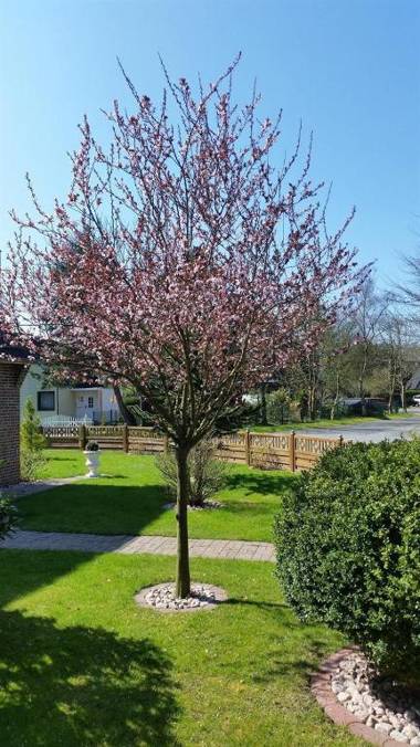 Ferienhaus Wiedingharde I