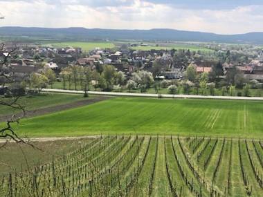 Ferienwohnung Weinberg