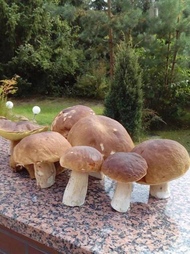 Ferienhäuser Golinski mit Kamin und umzäutem Grundstück am Neuendorfer See