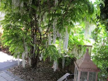 Ferienwohnung Haus Auryn