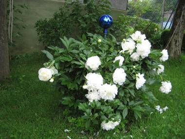 Ferienwohnung Spessart