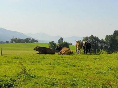 Wohnung 5 Morgensonne