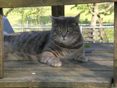 Wohnung 5 Morgensonne