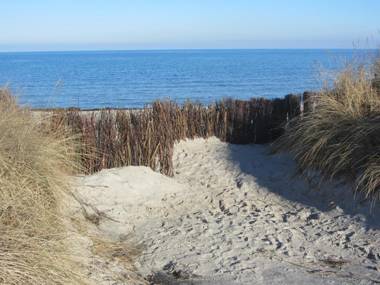 Apartment Holunderbusch