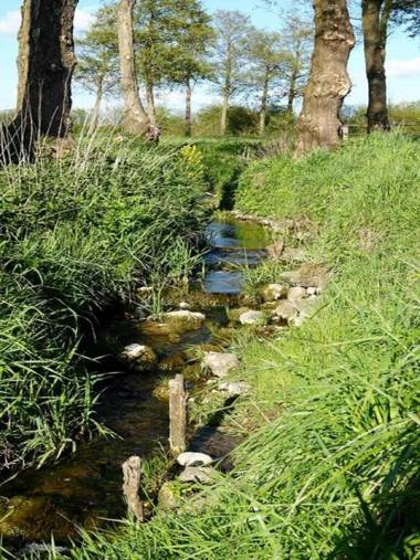 Ferienwohnung an der Au