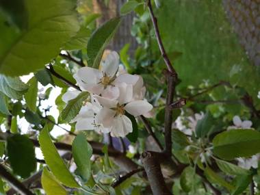 Ferienhäuschen Neuberend