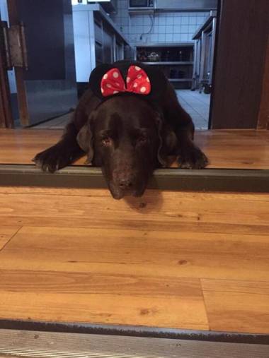 Landhaus Waldziegelhütte