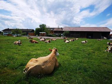 Ferienparadies Reifnhof
