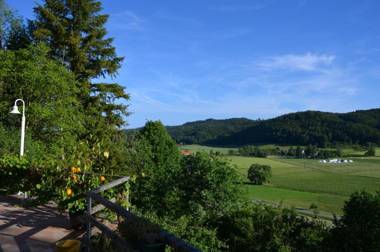 Ferienparadies Bodensee FeWo1