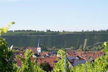 Weingut und Gastehof Borst