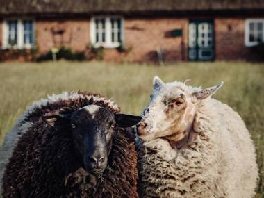Ferienhaus Gut Glück