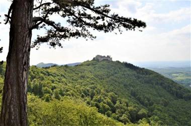 Ferienwohnung Alb-Traum