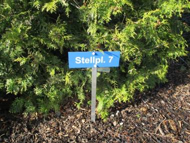 Apartment Fledermäuschen