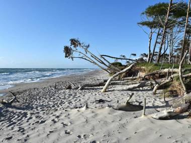 Buhne 14 Graal-Müritz