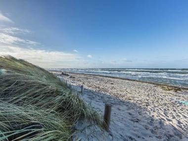 Buhne 14 Graal-Müritz