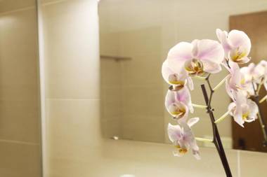 Landgasthof Baumgartner