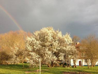 Expansive Holiday Home in Mecklenburg near Baltic Sea