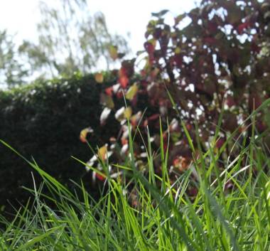 Ferienwohnung Schlegel