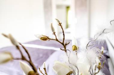 Ferienwohnung Waldblick