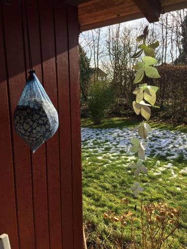 Schwedenhaeuschen-am-See-einfach-Lagom