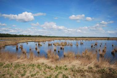 Ferienwohnung Anne 35657