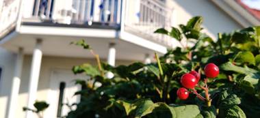 Ferienwohnung am Hollergraben