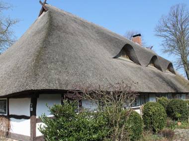 Quaint Apartment in Reddelich with Sauna