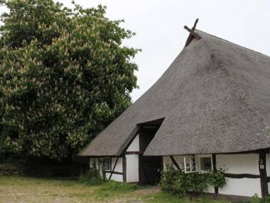 Quaint Apartment in Reddelich with Sauna