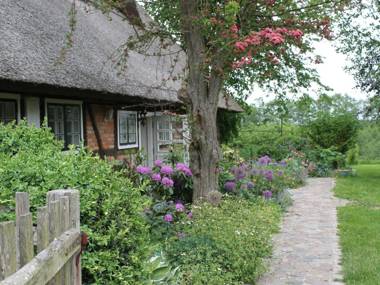 Quaint Apartment in Reddelich with Sauna