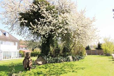 Ostseeresidenz Appartements Wischuer Fewo 26