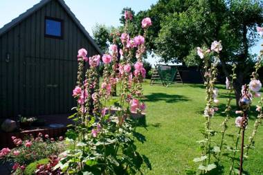 Ferienwohnung Schröder - 2347