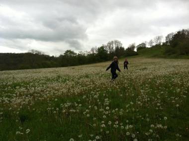 Ferienwohnung Walkershofen