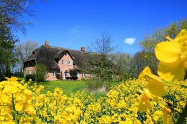 Alter-Gardinger-Deich-Wohnung-G-3