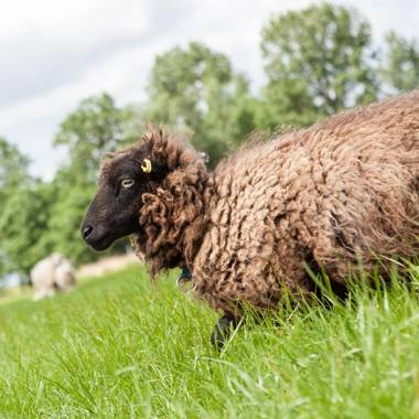Ferienhaus Hof Herzleuchten