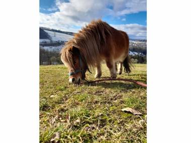 Ferienwohnung Schwarzenberg
