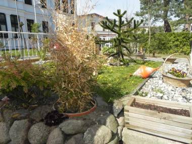 strandnahe Ferienwohnungen