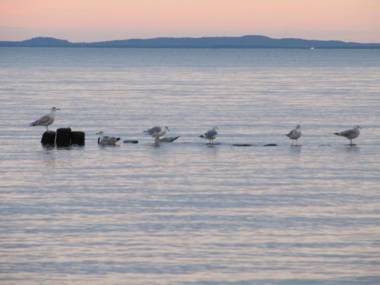 Villa Louise _ Nr_ 2