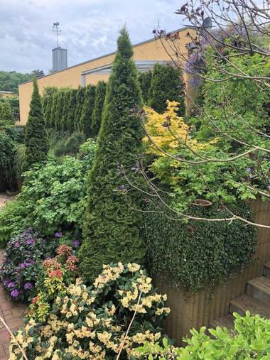 Ferienwohnung 01 Altenberg