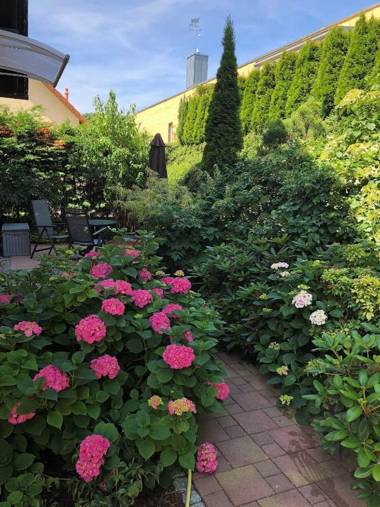 Ferienwohnung 01 Altenberg