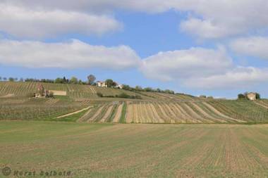 Ferienwohnung Tinkerhof nähe Bingen