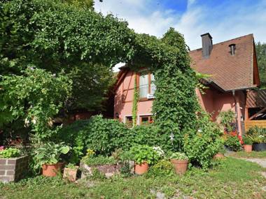 Comfortable Apartment in Freiburg with Garden