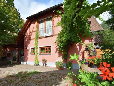 Comfortable Apartment in Freiburg with Garden