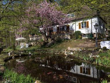 Charming Apartment in Weißenbrunn near Forest