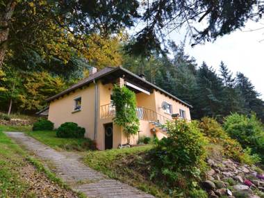 Cozy Holiday Home in Sachspfeife with Sun Terrace