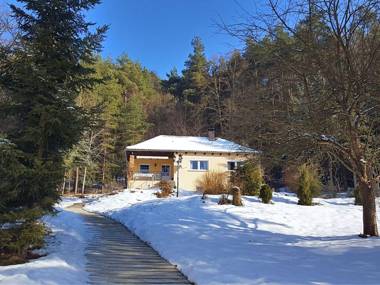 Cozy Holiday Home in Sachspfeife with Sun Terrace