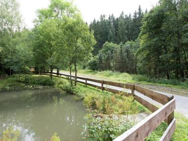 Holiday home in an idyllic setting in the heart of the Erzgebirge mountains with private balcony