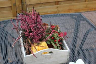 Ferienwohnung Birken Allee 35181