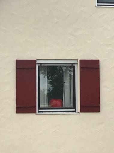 Ferienhaus -HAUS DER WEICHSEL- bei Lauingen mit Sauna